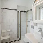 Studio - Grandtulipan